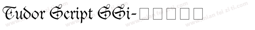Tudor Script SSi字体转换